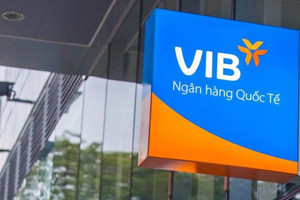 Một công ty chứng khoán bất ngờ sở hữu gần 30 triệu cổ phiếu VIB