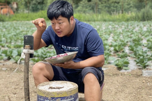 Trung Quốc tạo ra 'Viện sĩ ảo': Trợ lý AI giúp nông dân giàu lên gấp 4 lần