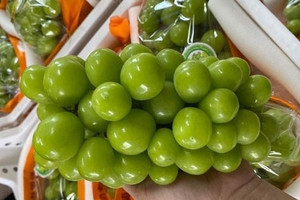 'Nho quý tộc' Trung Quốc rẻ hơn rau, giá chỉ từ 11.000 đồng/kg