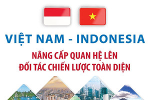 Việt Nam và Indonesia nâng cấp quan hệ lên Đối tác chiến lược toàn diện