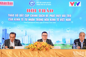 Vingroup, Thaco, Hòa Phát không thể gánh cả nền kinh tế: Bao giờ ‘rừng chim sẻ’ cùng bay với ‘đại bàng’?