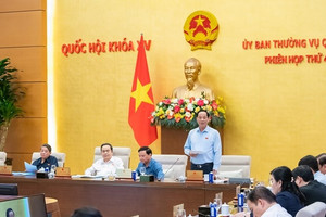 Rà soát lỗ hổng văn bản pháp lý vụ gần 600 loại sữa giả bán tràn lan suốt 4 năm