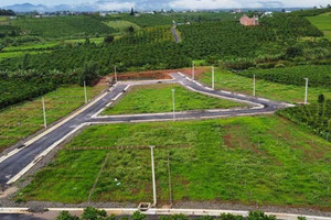 Từ giờ, đất trồng cây lâu năm cùng 4 loại đất khác nằm trong danh sách loại đất có thời hạn sử dụng 50 năm