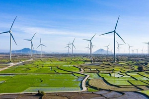 Bộ trưởng Công Thương: Kiên quyết rút giấy phép dự án điện chây ì