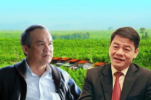 HAGL Agrico còn 3 tỷ đồng tiền mặt trên 'núi tài sản' gần 17.400 tỷ, báo tin vui sau màn chất vấn của cổ đông