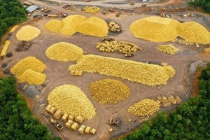 Công nghệ mới hé lộ 10 tấn vàng, 16 tấn bạc tại miền Trung Việt Nam