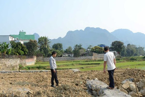 Từ bây giờ, bị hàng xóm lấn chiếm đất phải làm thế nào?