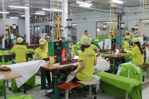 Giữa lùm xùm phá sản, cổ phiếu công ty nhựa của gia đình cựu Thứ trưởng Hồ Thị Kim Thoa trở lại UPCoM