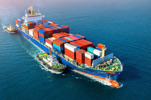 Cơn sốt vận tải do lo ngại thuế quan tại Mỹ: Lợi nhuận trước mắt, suy thoái đang tới gần
