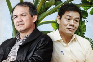 Bầu Đức rời ghế HĐQT: HAGL Agrico 'chết lâm sàng' sau nhiều năm cố gắng cứu của một tỷ phú