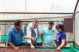 Ca cao khan hiếm giữa ‘cơn sốt’ giá kỷ lục