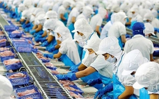 Xuất khẩu cá tra giảm gần 40% dù Trung Quốc tăng cường nhập khẩu