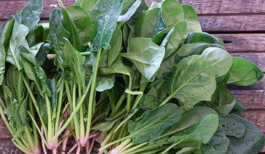 Loại rau 'linh chi thảo' giá rẻ như cho giúp kiểm soát đường huyết, giảm nguy cơ ung thư