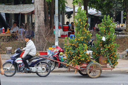 Kiếm tiền triệu mỗi ngày dịp cận Tết, hàng loạt xe ôm 'bỏ khách'