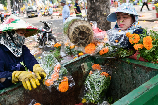 Ngậm ngùi vứt bỏ hoa Tết chiều cuối năm