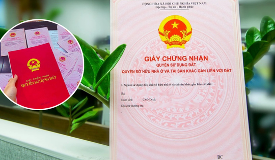 Từ bây giờ, cố tình chuyển nhượng đất không sổ đỏ sẽ bị phạt bao nhiêu?