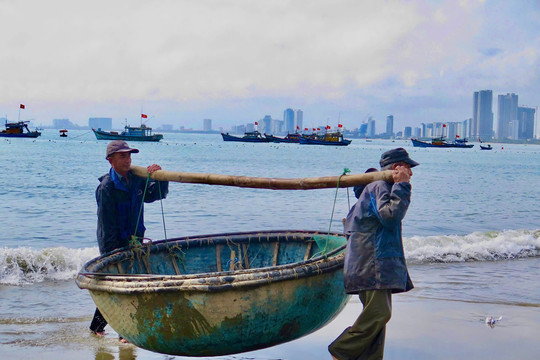 Kiếm bộn tiền với nghề 'săn' tôm hùm giống trên biển