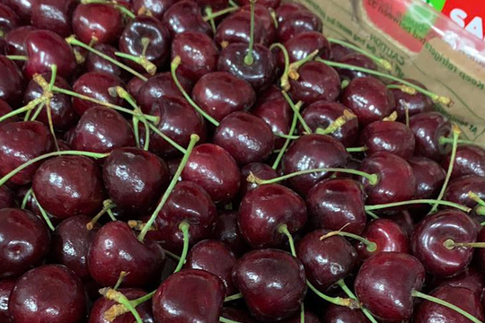 Sự thật cherry Chile giảm giá ‘sập sàn’, còn 100 nghìn/kg bán la liệt ở chợ Việt