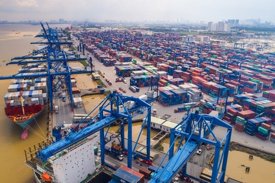 Lo ngại thuế quan Mỹ siết biên lợi nhuận, TCL vẫn chốt cổ tức bằng tiền gần 24%