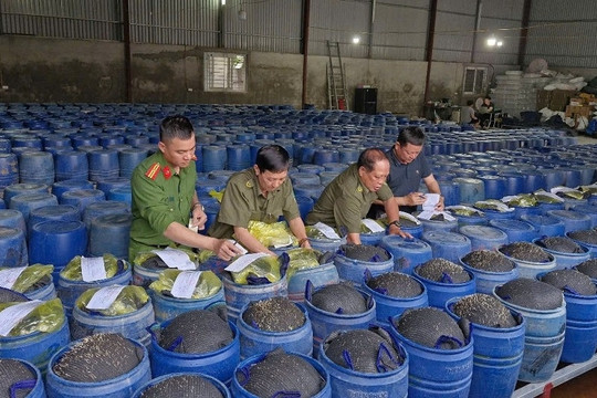 Bắt giữ 4 chủ cơ sở ngâm giá đỗ bằng hóa chất 'nước kẹo', đã bán 3.500 tấn