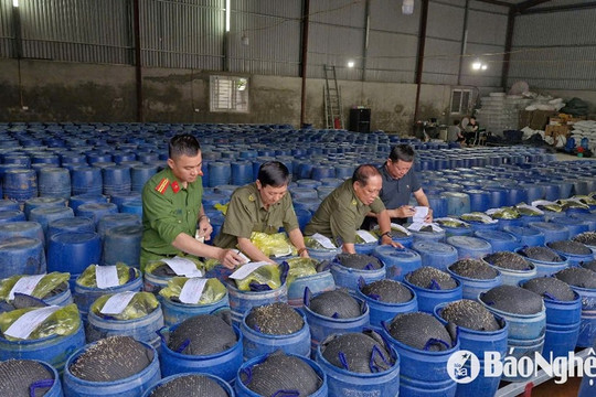 Công an khởi tố ổ nhóm 4 đối tượng sử dụng chất kích thích sản xuất 3.500 tấn giá đỗ bán ra thị trường