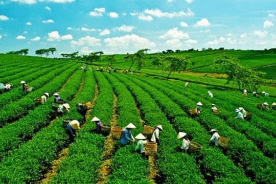 Nút thắt khiến Việt Nam chưa thể bứt phá về tín dụng xanh