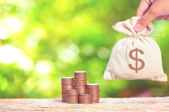 Một doanh nghiệp xuất nhập khẩu trả cổ tức tỷ lệ 17,5%