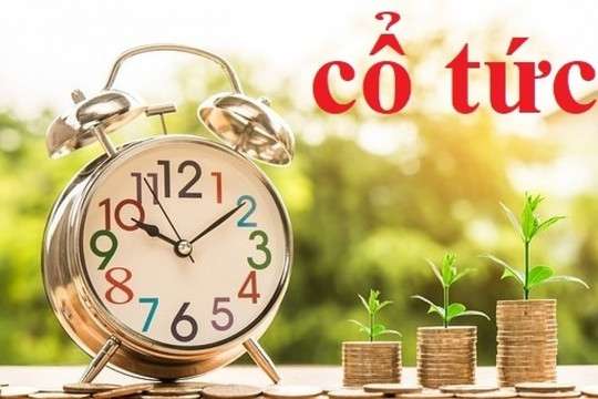 Một doanh nghiệp khu công nghiệp sắp chia cổ tức bằng tiền mặt tỷ lệ 15%