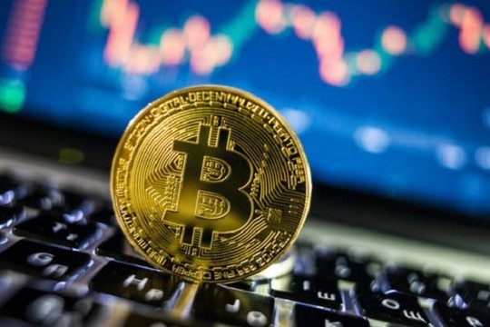 Bitcoin mất vị thế 'vàng kỹ thuật số': Bão thuế quan đang ép đồng tiền số này lột xác?